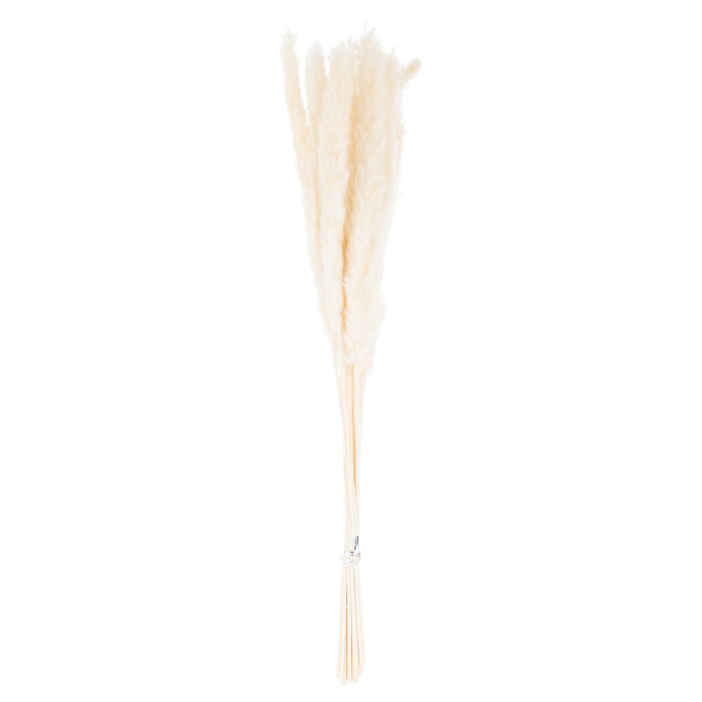 Mini White Pampas Grass Bunch Of 15 Artificial Flower Stem