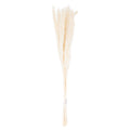 Mini White Pampas Grass Bunch Of 15 Artificial Flower Stem