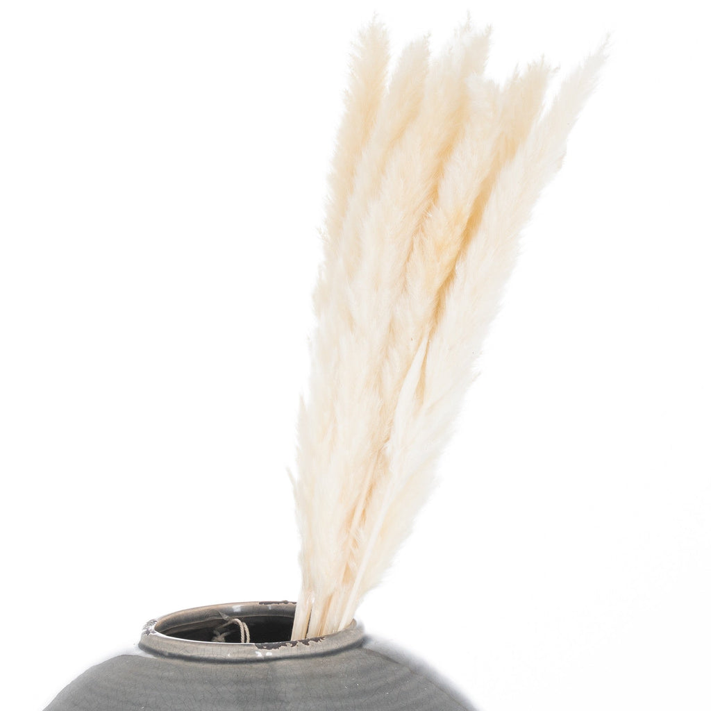 Mini White Pampas Grass Bunch Of 15 Artificial Flower Stem