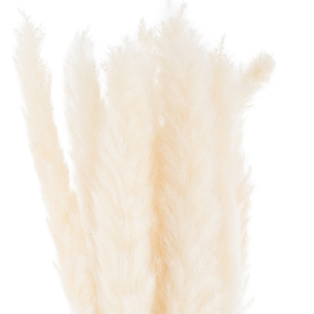 Mini White Pampas Grass Bunch Of 15 Artificial Flower Stem