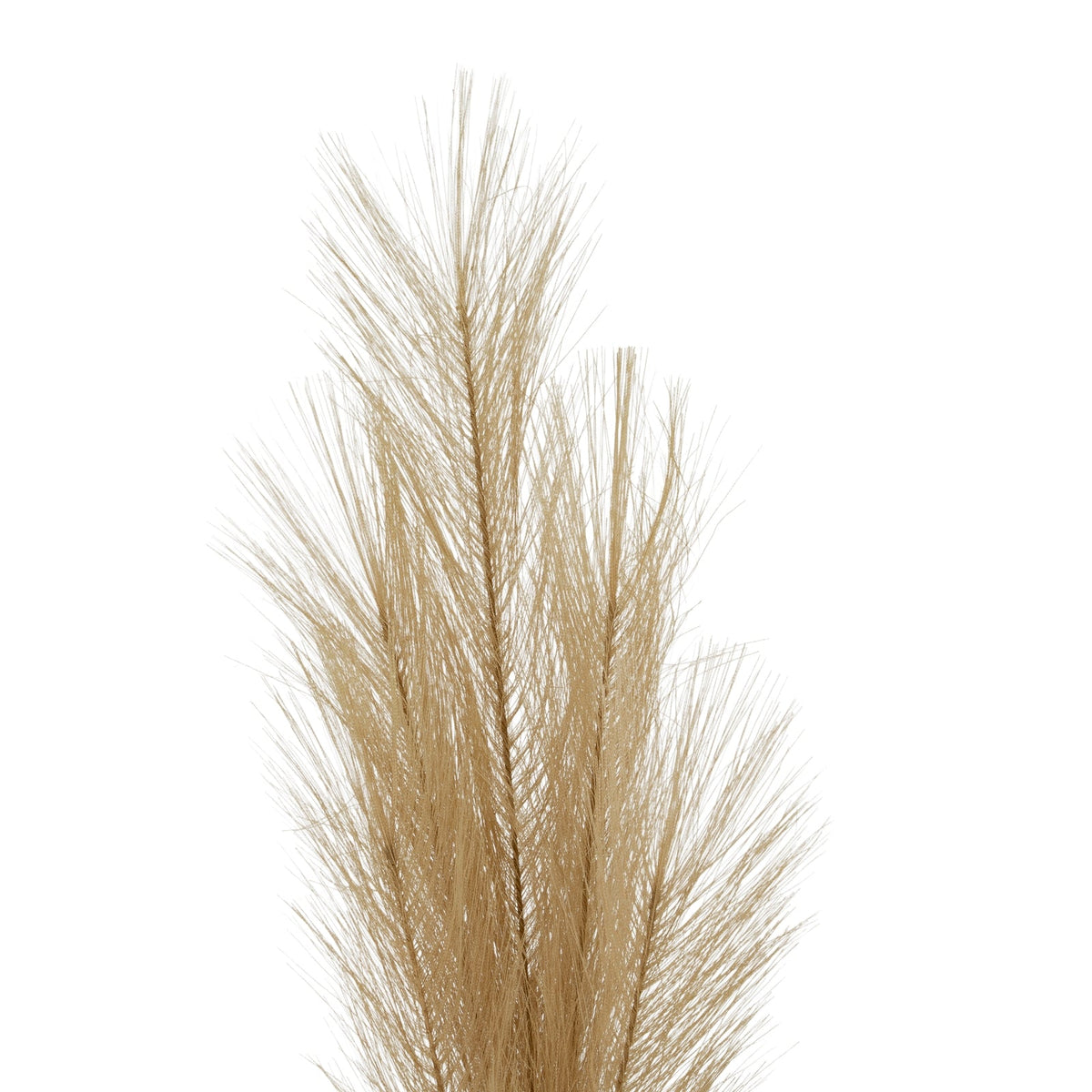 Faux Pampas Grass Stem for Floral Arrangements