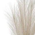 Bleached Large Faux Pampas Grass Stem