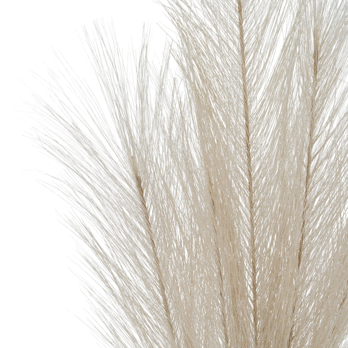 Bleached Large Faux Pampas Grass Stem