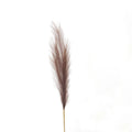 Taupe Faux Pampas Grass Stem for Floral Arrangements