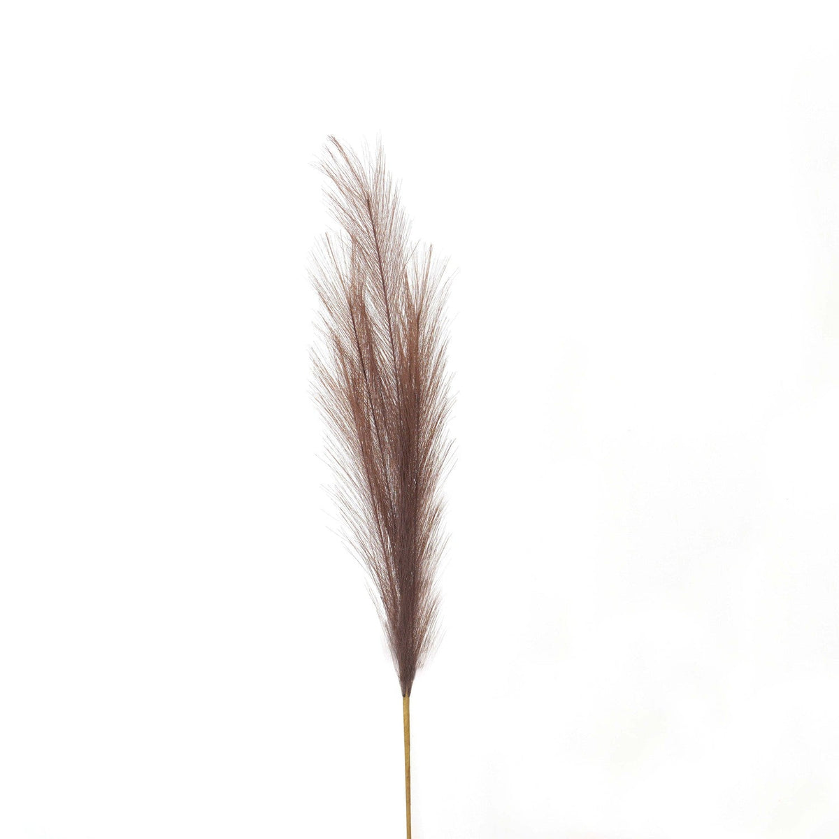 Taupe Faux Pampas Grass Stem for Floral Arrangements