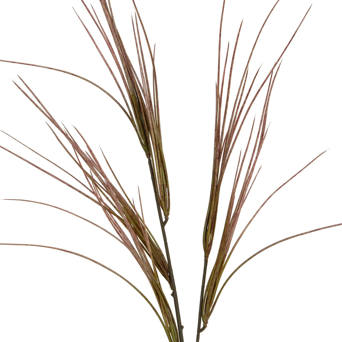 Brome Grass Spray Artificial Flower Stem