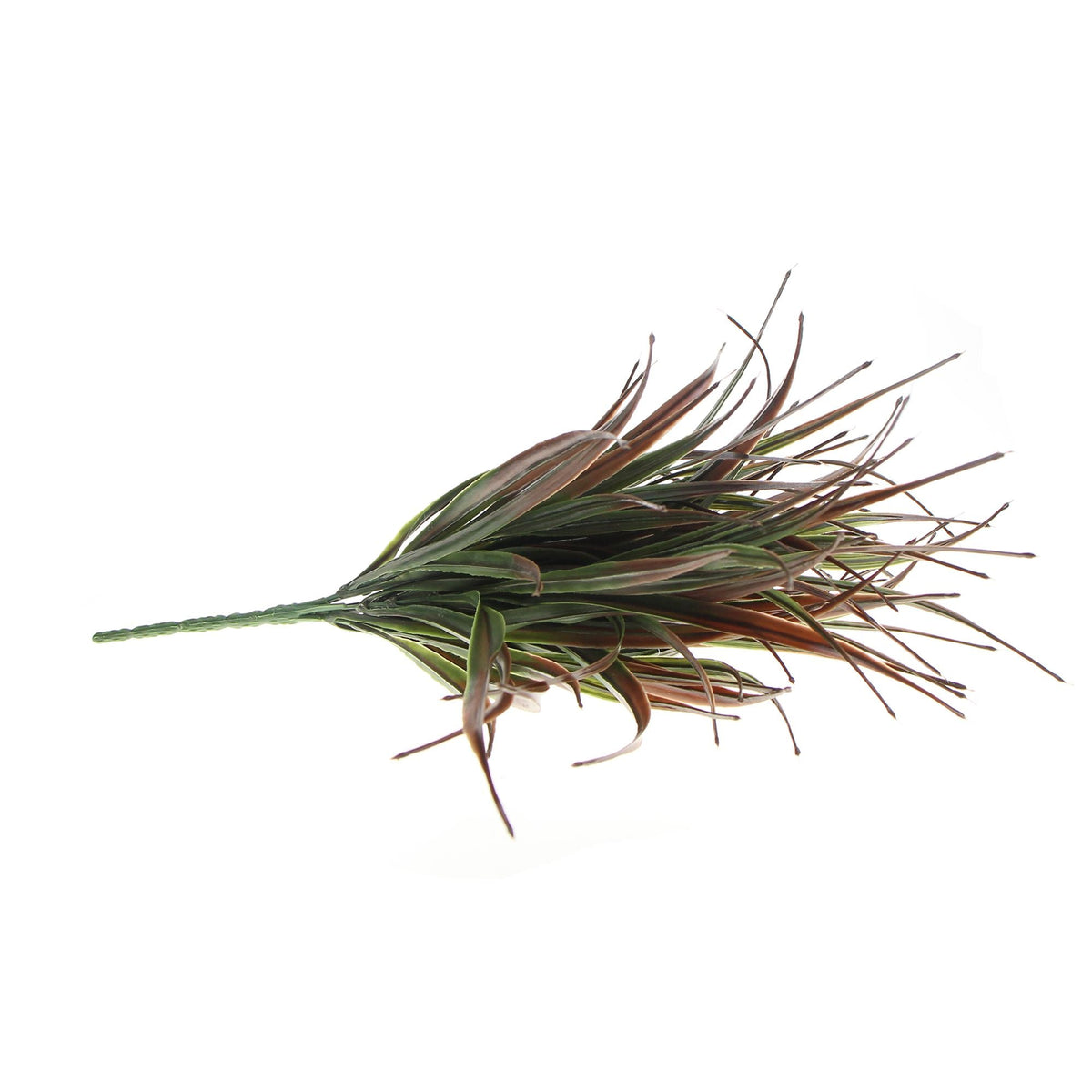 (5 Pack) Artificial Stem Brown Tipped Fake Grass Plant 35cm