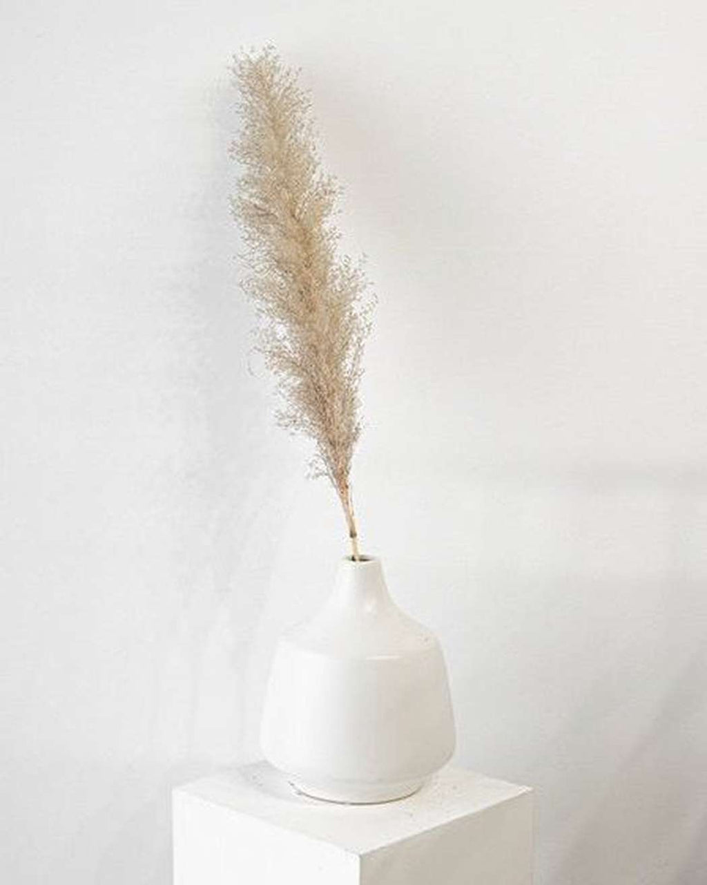 Cool Grey Pampas Grass