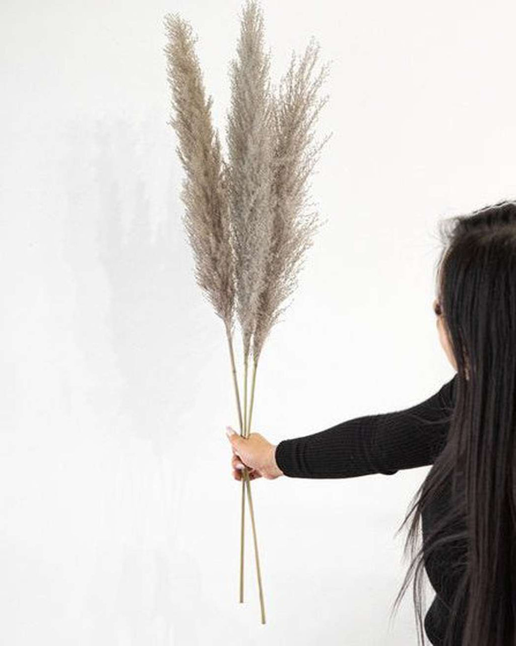 Cool Grey Pampas Grass
