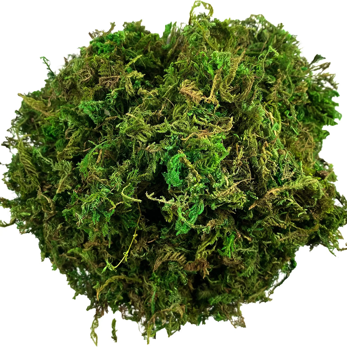 10G Artificial Moss Green Decorative Faux Moss for Potted Plants