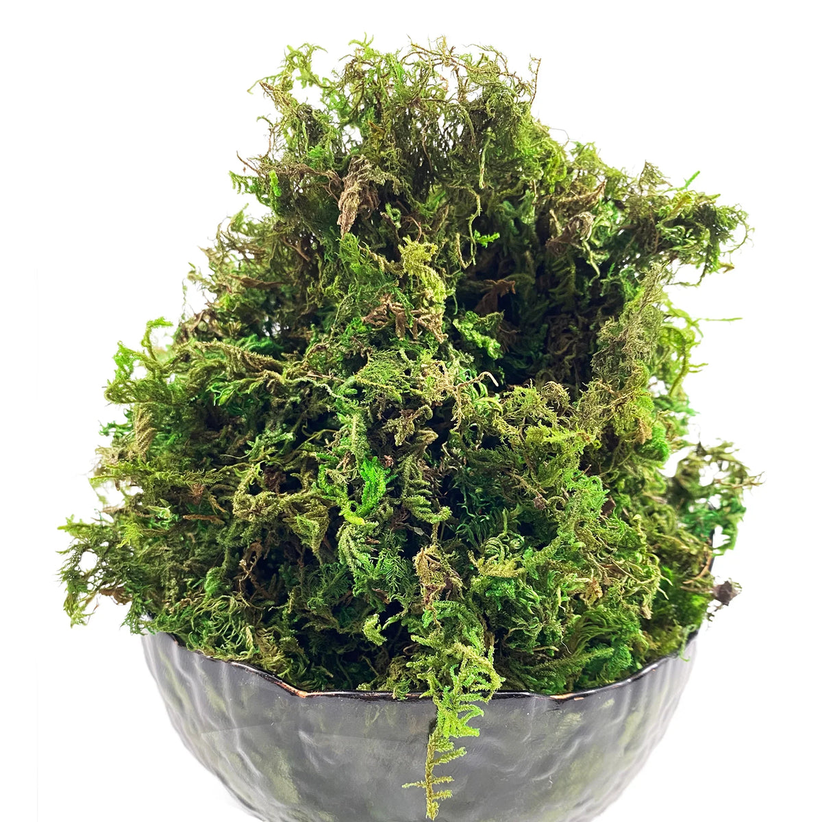 10G Artificial Moss Green Decorative Faux Moss for Potted Plants