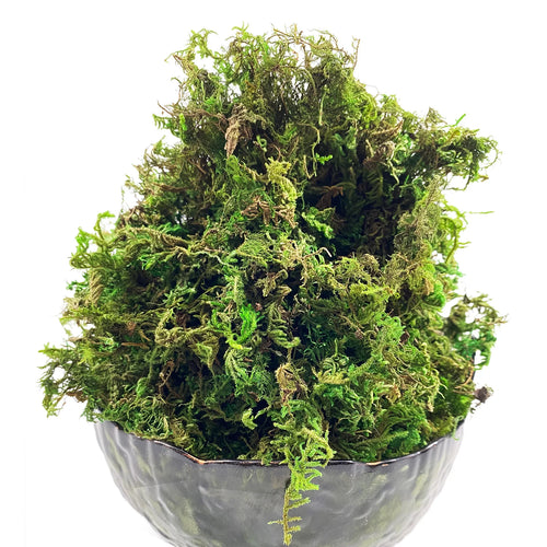 10G Artificial Moss Green Decorative Faux Moss for Potted Plants