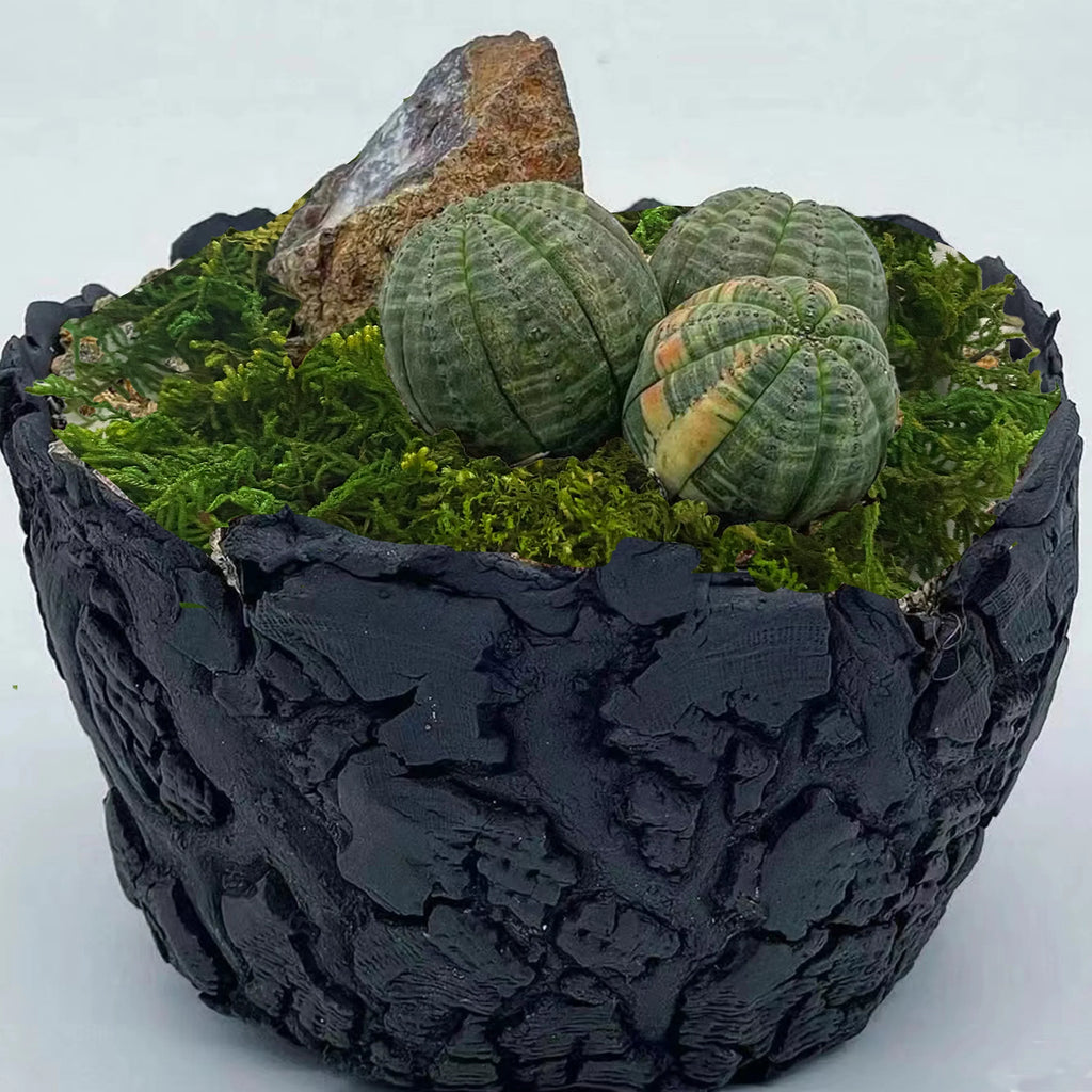 10G Artificial Moss Green Decorative Faux Moss for Potted Plants