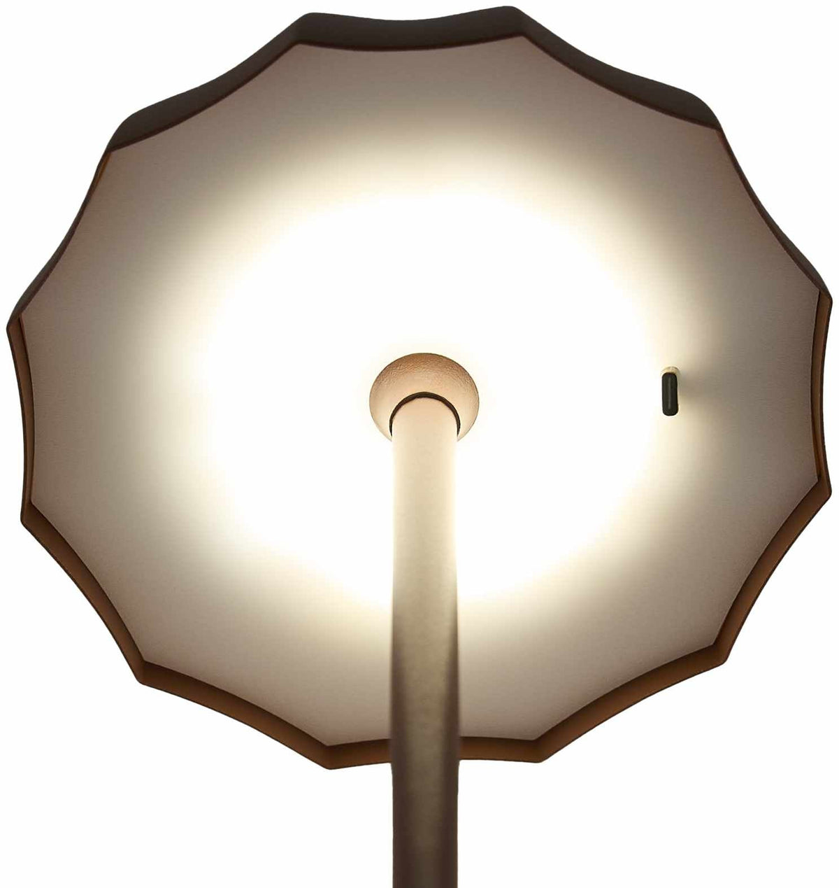 Terriente Orange Table Lamp