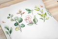 Eucalyptus and Blossom Cushion Counted Cross Stitch Kit by Luca-S PB201L